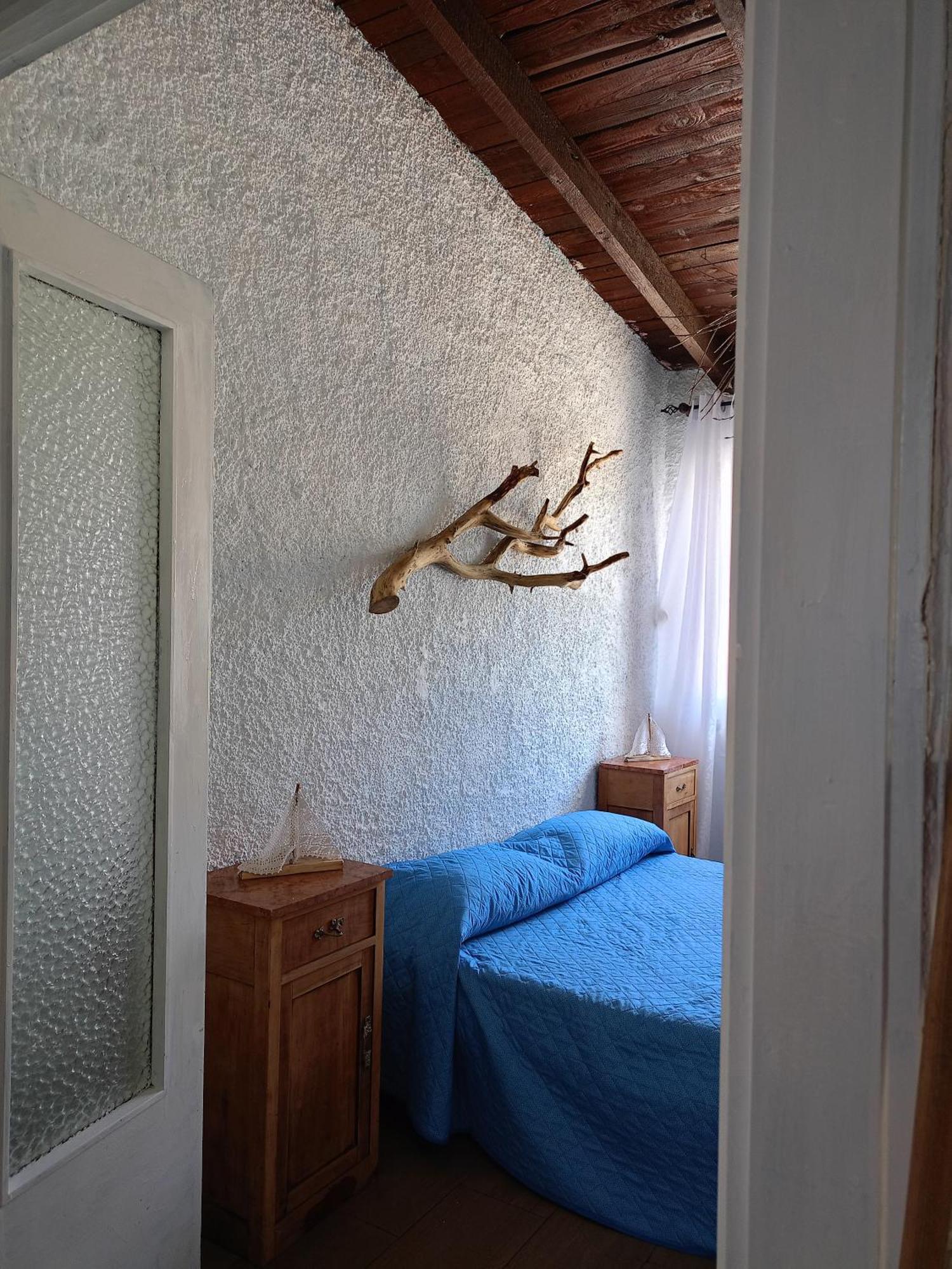 Apartamento Blu Angel Lido dei Pini Exterior foto