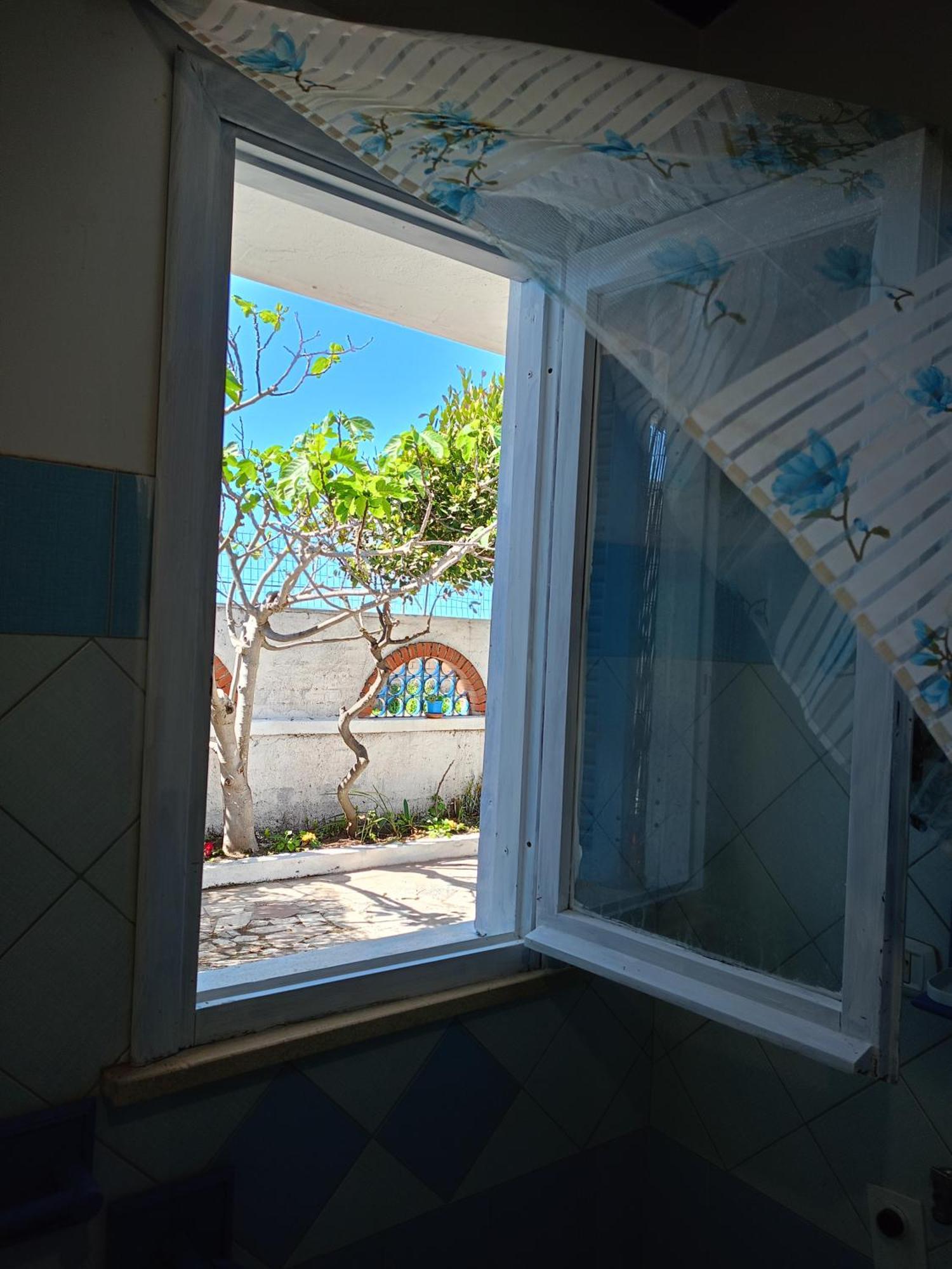 Apartamento Blu Angel Lido dei Pini Exterior foto